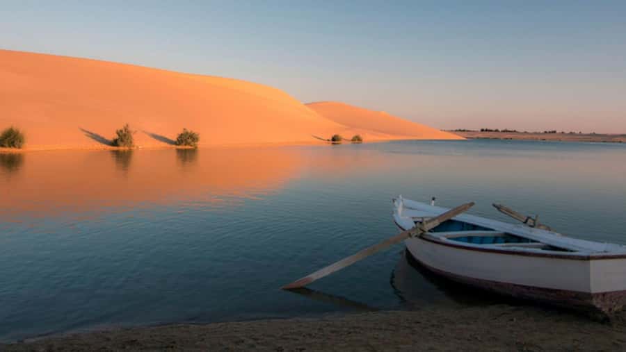 Cairo: Fayoum, Wadi El Rayan, and Wadi al Hitan 4x4 Tour - Guides, drivers, and how much they affect the day