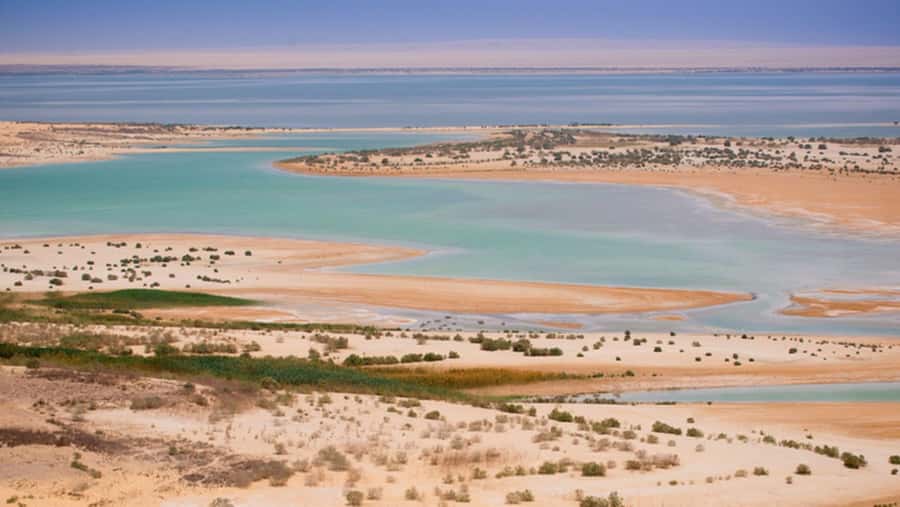 Cairo: Fayoum, Wadi El Rayan, and Wadi al Hitan 4x4 Tour - From Tunis Village to the 4x4 tracks