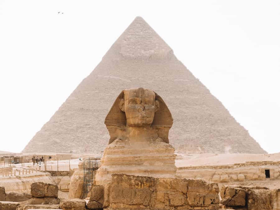Cairo: Giza Great Pyramids Tour with Sightseeing Options - The Egyptian Museum adds people and objects to the monuments