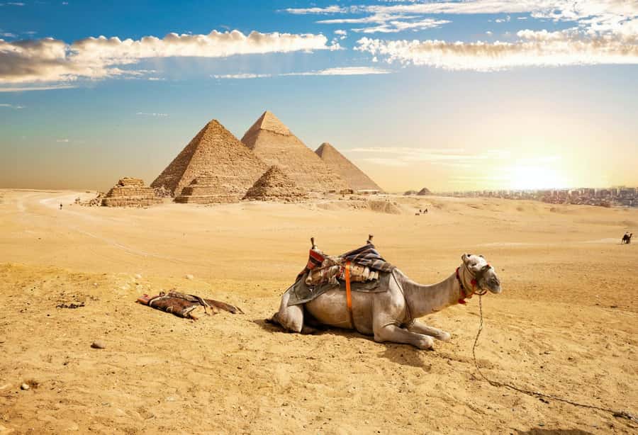 Cairo: Giza Pyramids, Memphis, Saqqara Private Tour & Lunch - Lunch at the end
