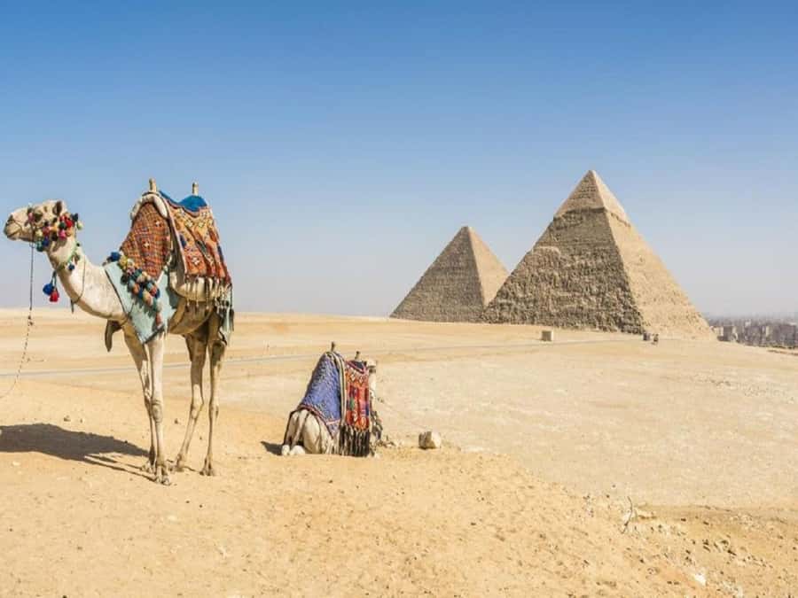 Cairo: Giza Pyramids, Sakkara & Dahshur All-Inclusive Tour - The Sphinx needs time, not just a photograph