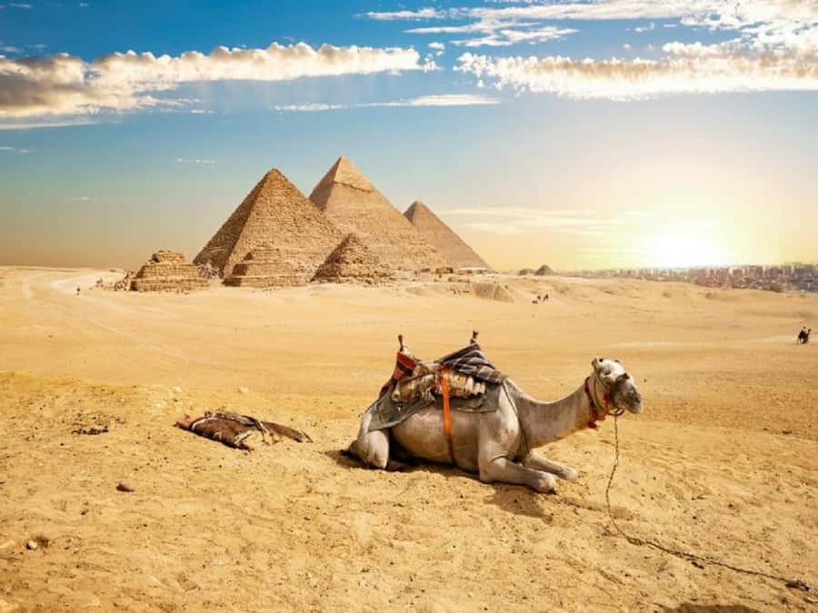 Cairo: Giza Pyramids, Sakkara & Dahshur All-Inclusive Tour - Guides make the biggest difference
