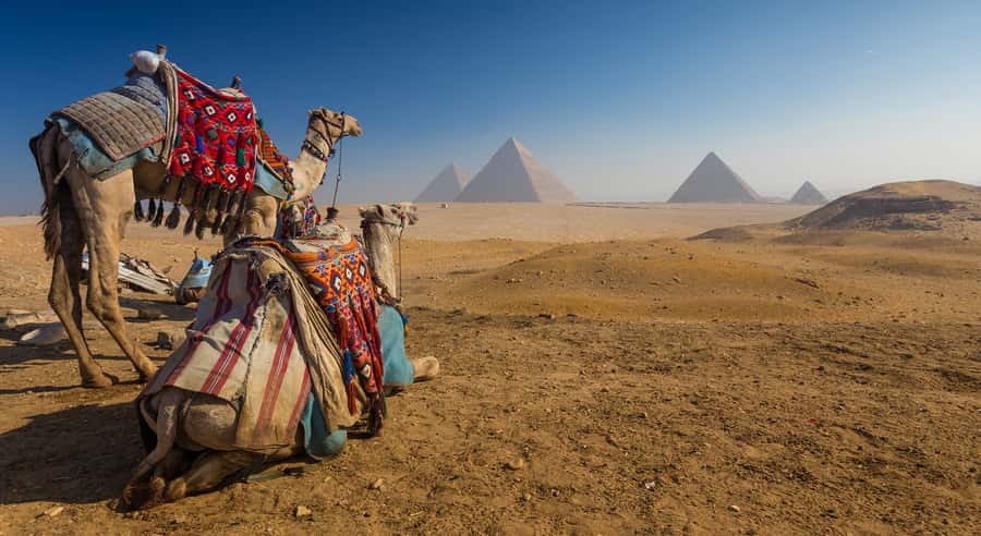 Cairo: Great Pyramids of Giza and Egyptian Museum Tour - Why this seven-hour Cairo tour works