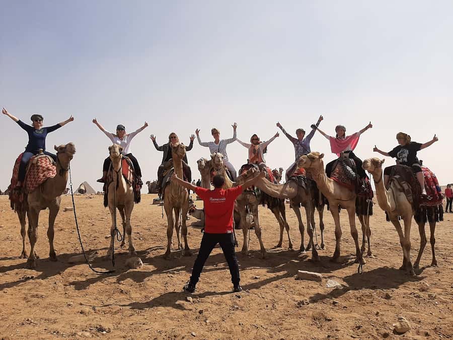 Cairo: Great Pyramids of Giza and Egyptian Museum Tour - The Sphinx and Valley Temple