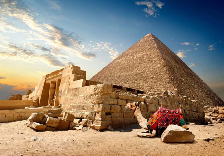 Cairo: Great Pyramids of Giza and Egyptian Museum Tour - Inside the Egyptian Museum of Antiquities