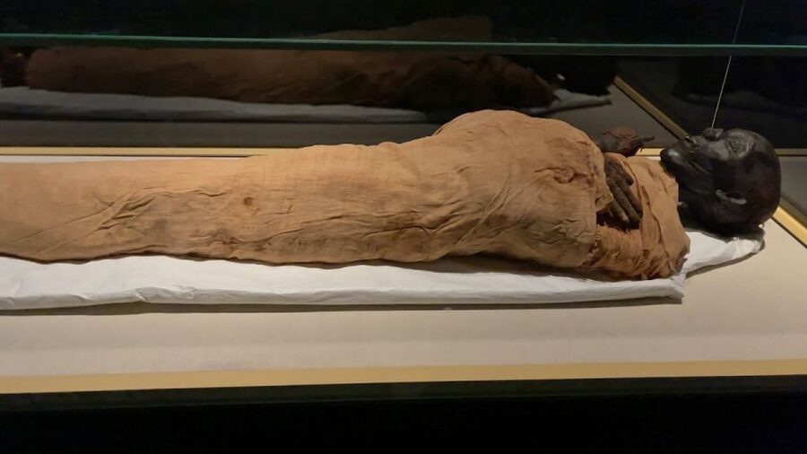Cairo: National Museum of Egypt Skip-the-Line QR Ticket - Key points to know before you go