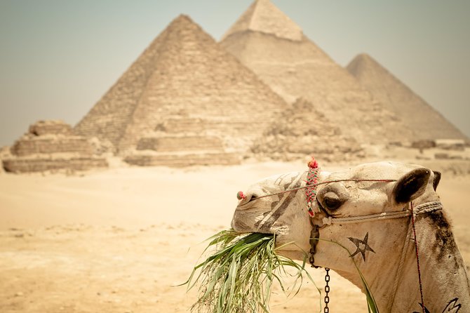 Cairo Private Tours To Giza Pyramids,Egyptian Museum & Bazaar - Khan El-Khalili, Cairo’s old-market finish