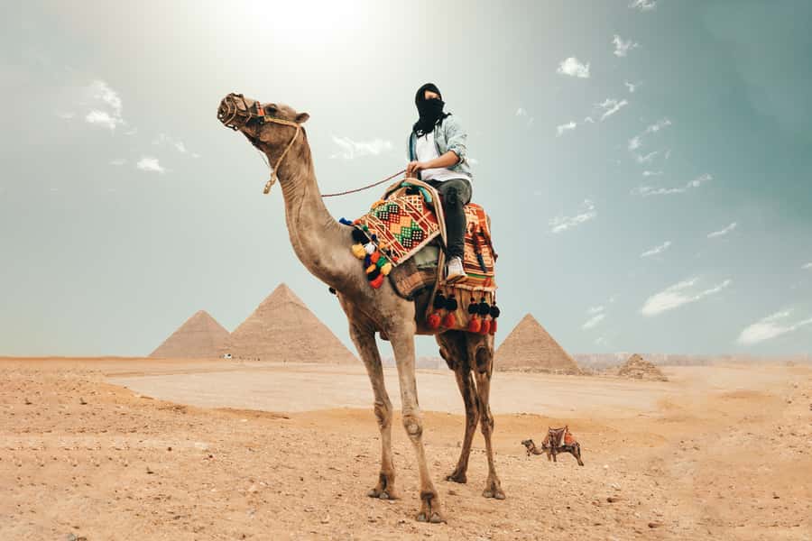 Cairo: Pyramids, Bazaar, Citadel Tour with Photographer - Why this $99 Cairo day works well