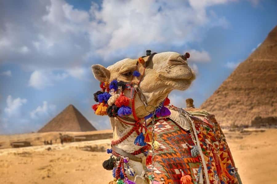 Cairo: Pyramids & Great Sphinx Private Tour with Camel Ride - Hotel pickup takes care of Cairo’s first hurdle