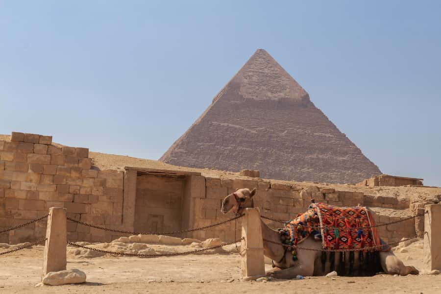 Cairo: Pyramids, Sphinx & Grand Egyptian Museum Private Tour - Guide quality and language choices