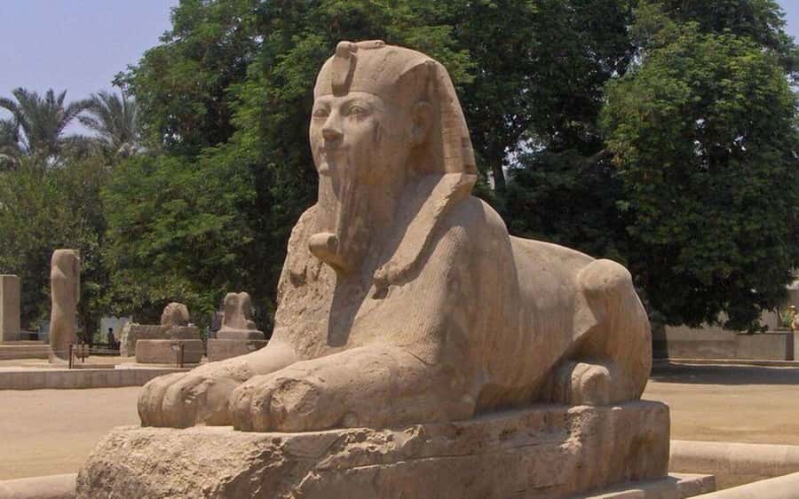 Cairo: Saqqara, Memphis, and Dahshur Day Trip with Lunch - The guide shapes the whole day