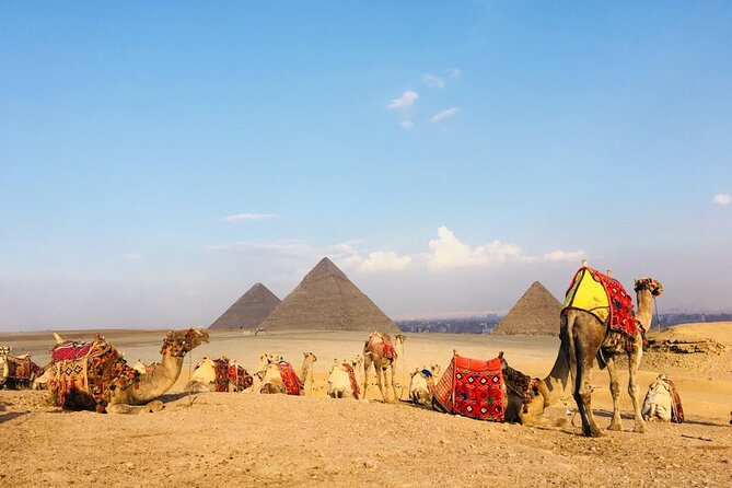 Cairo Sightseeing Tour (Giza Pyramids + Museum + Khan el Khalili Bazaar) - Is $78 a fair price?