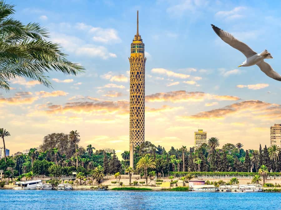 Cairo: Sunset Cairo Tower Tour With Nile River Dinner Cruise - Dinner on a two-hour Nile cruise