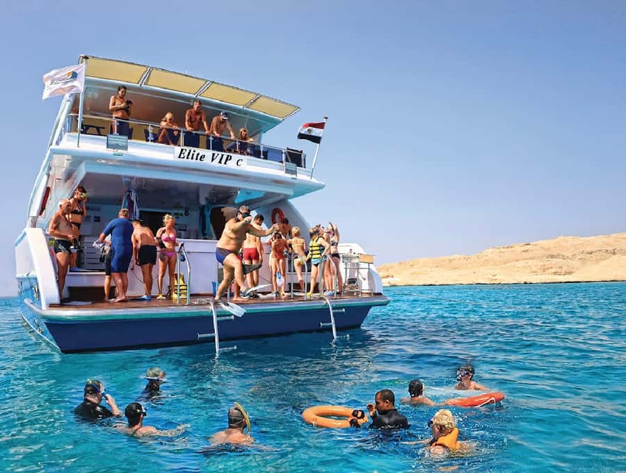 Cairo to Red Sea: VIP Yacht Cruise, Snorkeling & Lunch - Is $44 a fair price?