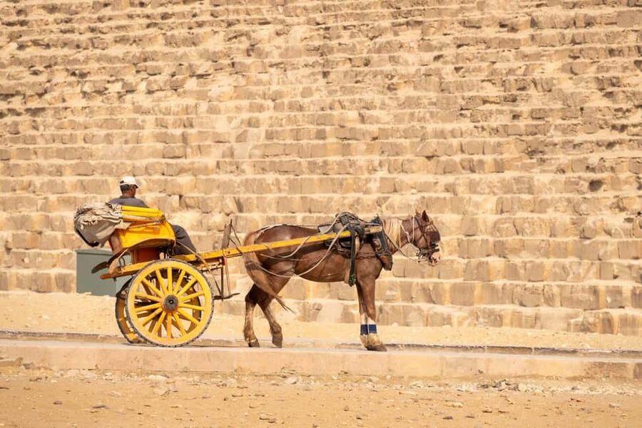 Cairo: Trip Pyramids, Sakkara, & Memphis Tour with Lunch - Lunch and the local food stop