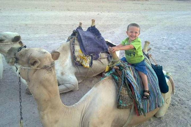 Camel ride & Bedouin dinner quad safari in Sharm el Sheikh - Leaving Sharm el Sheikh at 3:30 pm