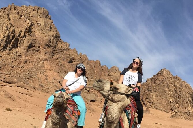 Camel ride & Bedouin dinner quad safari in Sharm el Sheikh - Tea and a camel ride at the Bedouin village