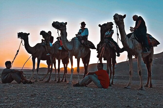 Camel Riding Tour in Luxor West Bank - A camel ride through Luxor’s quieter West Bank