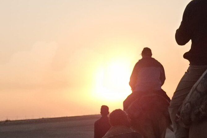 Camel Riding Tour in Luxor West Bank - What the route can include