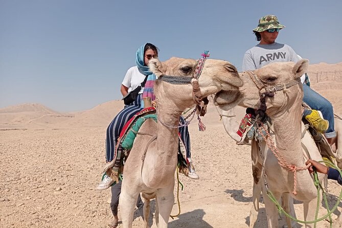 Camel Riding Tour in Luxor West Bank - What the guides and handlers add