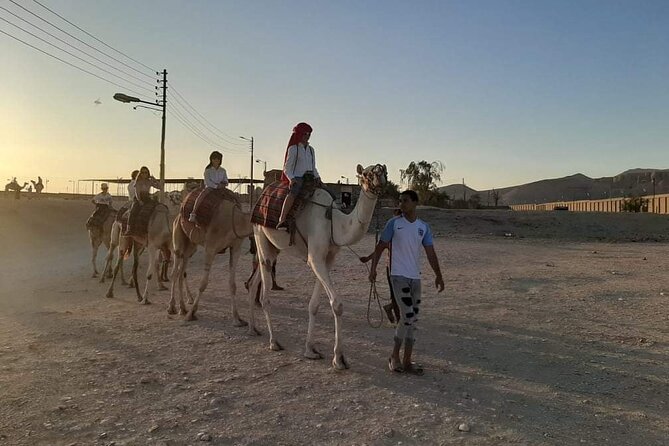 Camel Riding Tour in Luxor West Bank - Safety, comfort, and what to wear