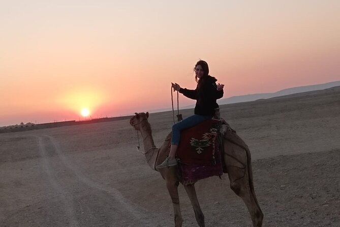 Camel Riding Tour in Luxor West Bank - Why the private format matters