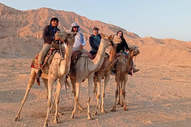 Camel Riding Tour in Luxor West Bank - Who should book this ride