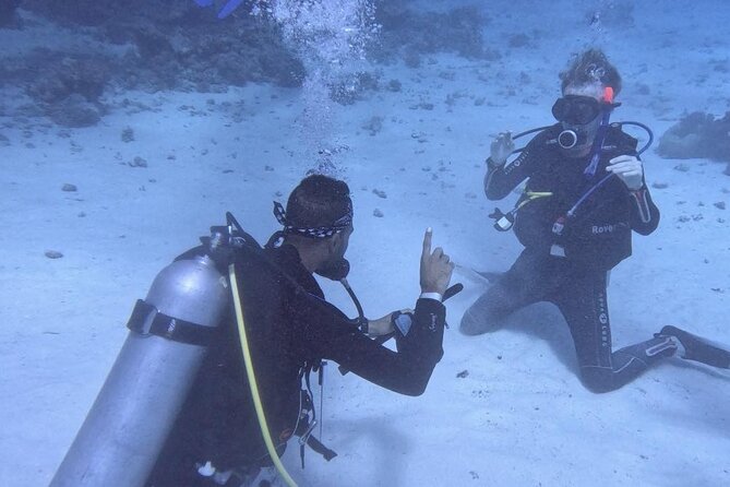 Course for Padi OW in Red Sea and Sinai - Starting at 8:00 am in Hurghada
