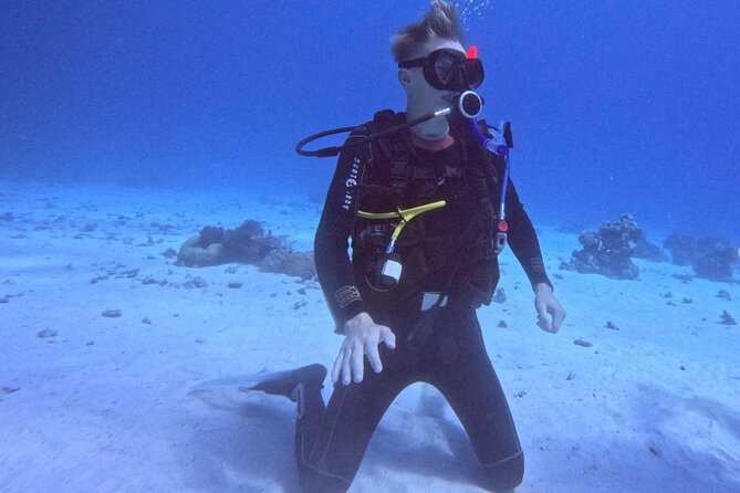 Course for Padi OW in Red Sea and Sinai - Red Sea sessions bring the theory to life