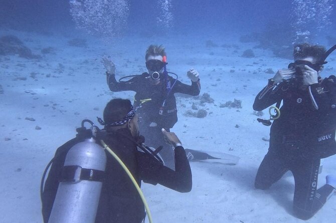 Course for Padi OW in Red Sea and Sinai - What the boat day is like