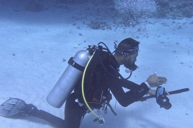 Course for Padi OW in Red Sea and Sinai - Price and what the $450 includes