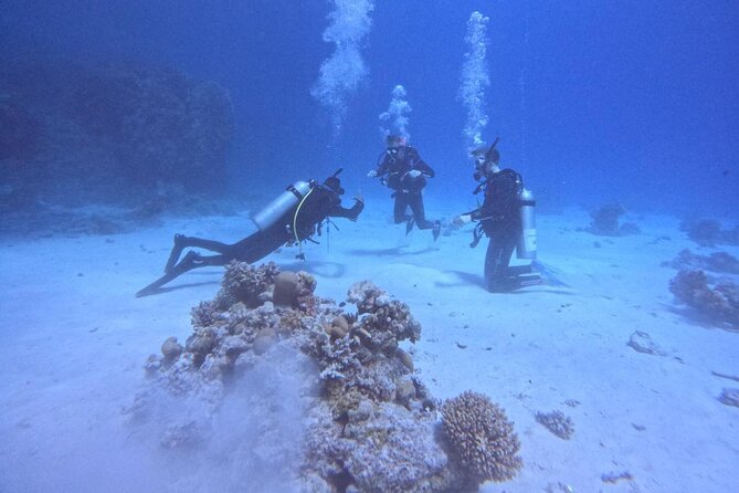 Course for Padi OW in Red Sea and Sinai - Who will enjoy this course most