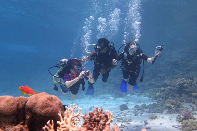 Daily 2 Dives with Equipment from Hurghada - What this Hurghada boat day is really like