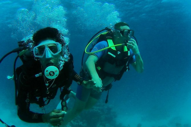 Daily 2 Dives with Equipment from Hurghada - The underwater sessions: short, guided, and suitable for a first try