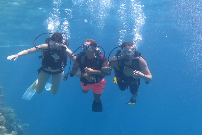 Daily 2 Dives with Equipment from Hurghada - Equipment and boat standards