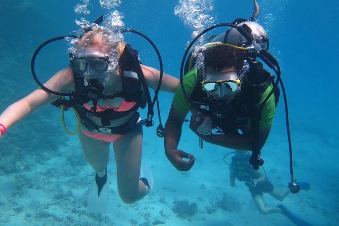Daily 2 Dives with Equipment from Hurghada - Hotel pickup is useful, but confirm every detail