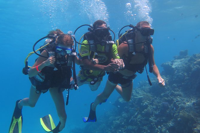 Daily 2 Dives with Equipment from Hurghada - Who should book this experience