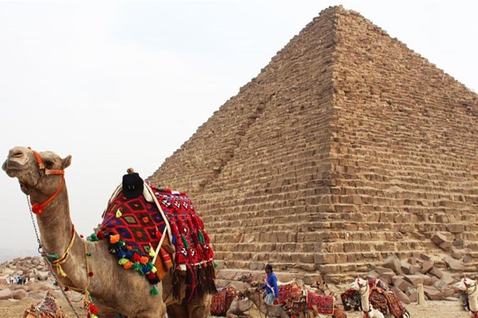 Day Tour To Cairo From Alexandria - Guides, drivers, and the private format