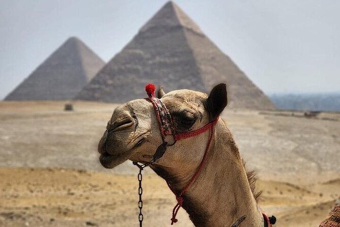 Day tour to Giza Pyramids, Memphis and Sakkara - Starting at the Giza Plateau