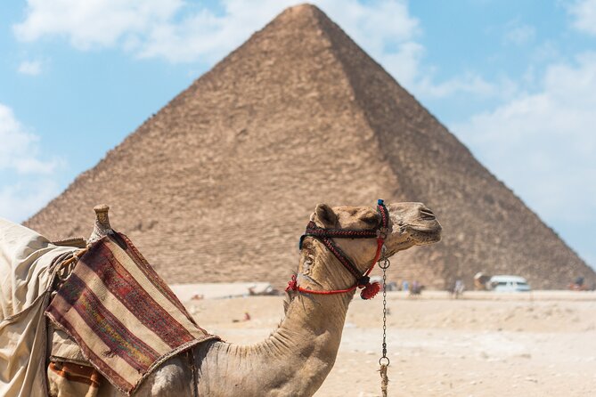 Day Tour To Giza Pyramids With Camel Ride And Egyptian Museum In Cairo - Spending the afternoon in the Egyptian Museum