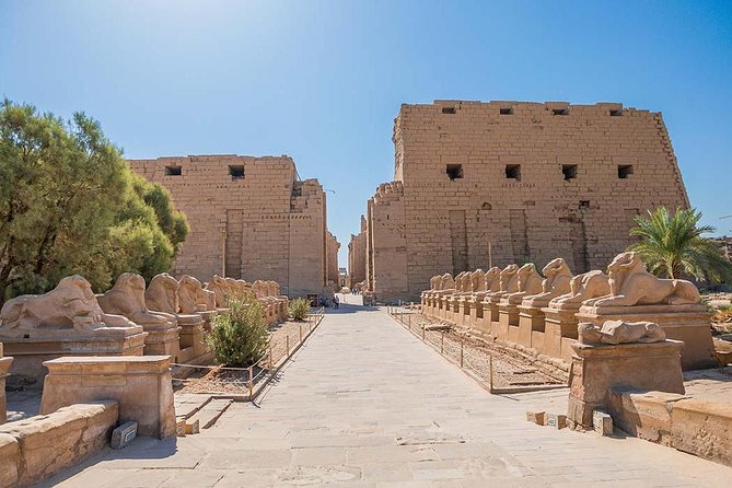 Day Trip to Luxor from Cairo by Air - What your private guide adds