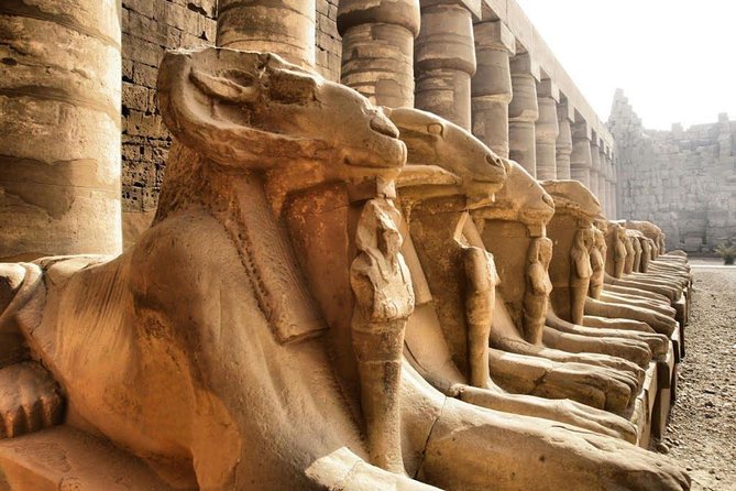 Day Trip To Luxor From Cairo By Plane - Hatshepsut Temple and the west bank story