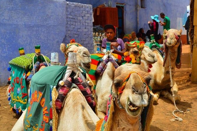 Day Trip to Nubian Village with Camel Tour from Aswan - A short Nile ride into Nubian Village