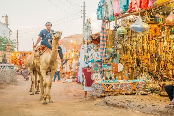 Day Trip to Nubian Village with Camel Tour from Aswan - Photo stops and the feel of the visit