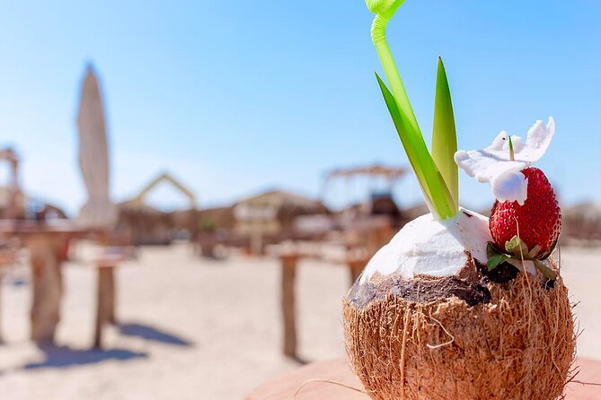 Discover Paradise Island Adventure - Lunch, drinks, and the social side of the boat