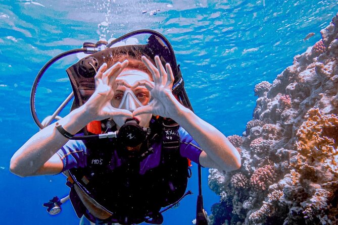 Discover Scuba Diving Sharm El Sheikh - Group size and the question of personal attention