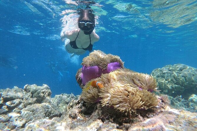 Diving And Snorkeling To Ras Mohamed And White Island By VIP Boat - White Island is a sandbar, not a large beach