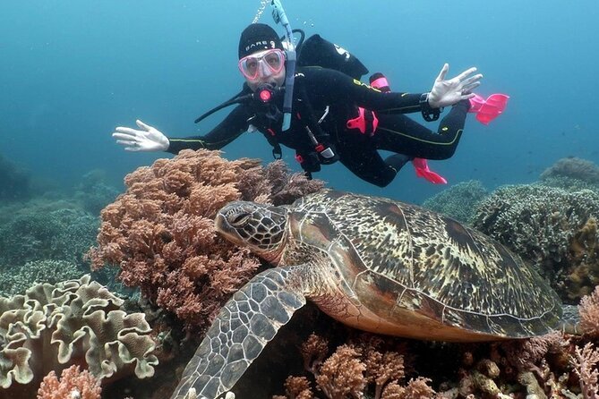 Diving And Snorkeling To Ras Mohamed And White Island By VIP Boat - Who will enjoy this boat day most