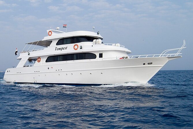 Diving And Snorkeling To Ras Mohamed And White Island By VIP Boat - What makes Ras Mohammed special