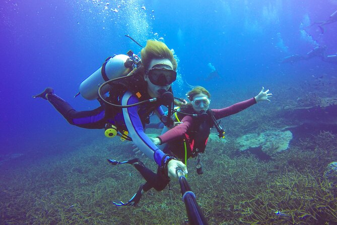 Diving Full Day 2 Stops Boat Trip For Beginners With Lunch and Transfer–Hurghada - First underwater session: a gentle introduction